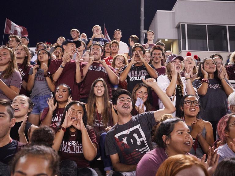 Image card - Bulldogs cheering at football game